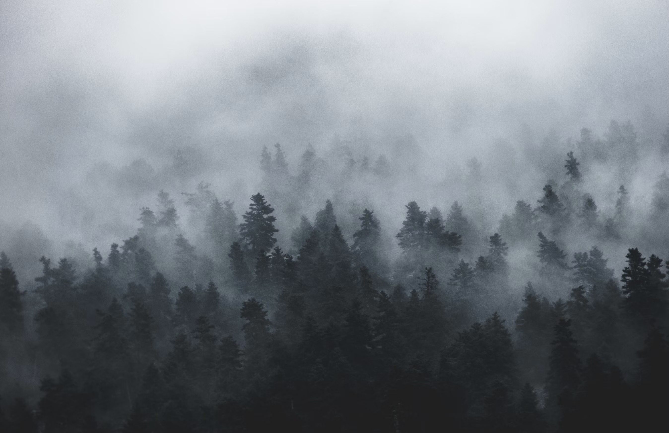 9d13d37e-6802-4f8e-a8e4-c10b0d42d987.png